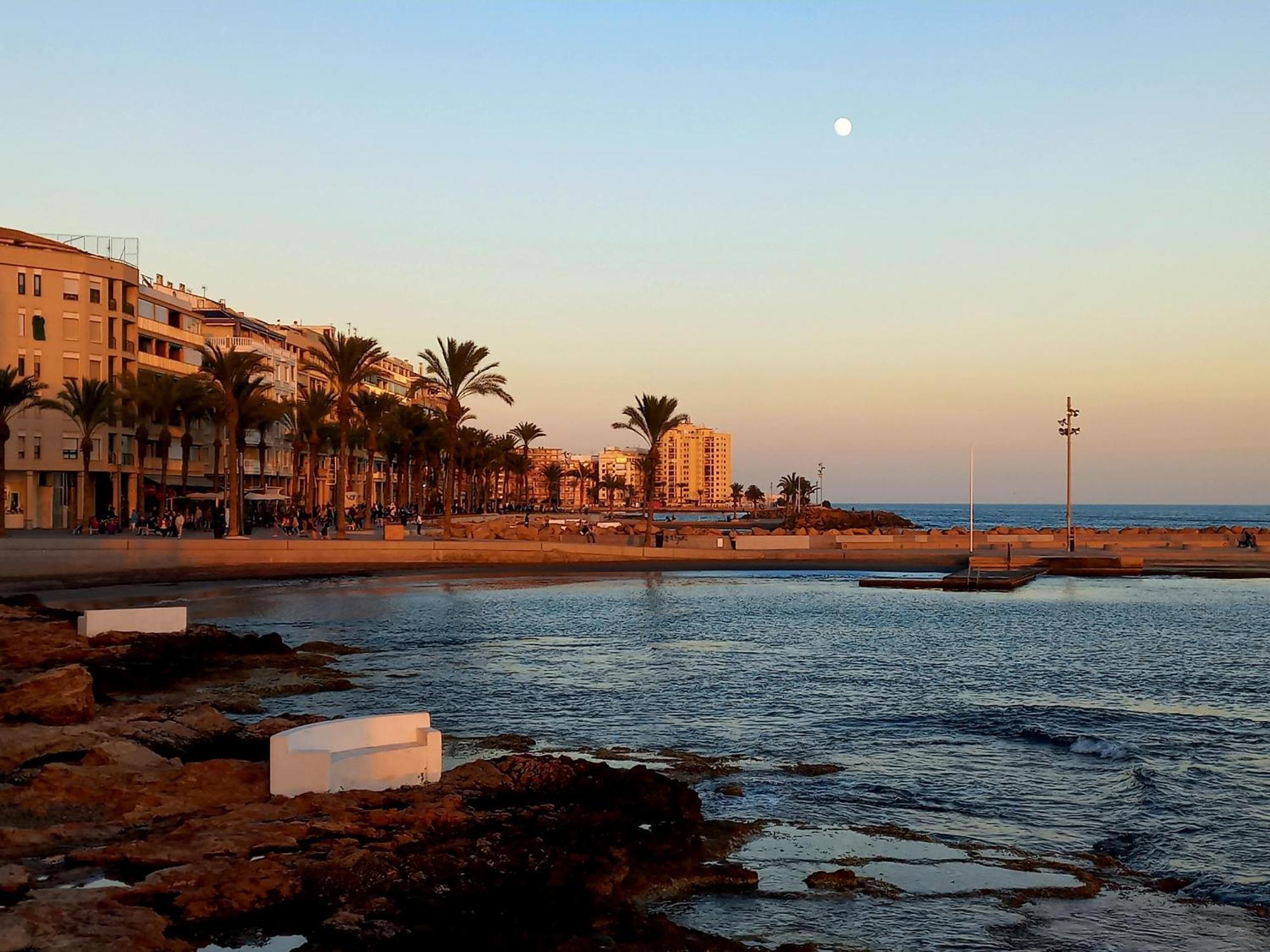 Hola Torrevieja Lägenhet Exteriör bild