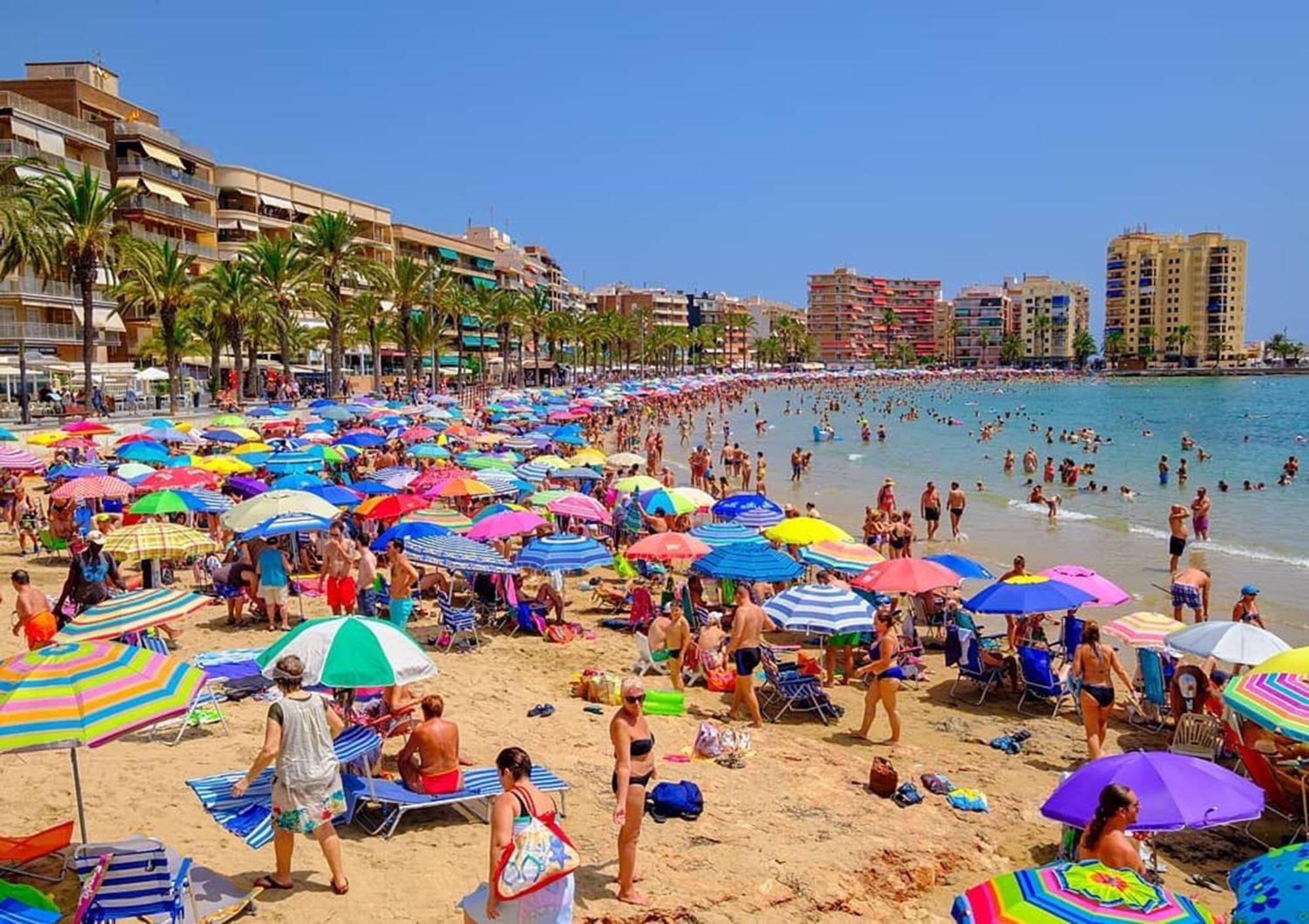 Hola Torrevieja Lägenhet Exteriör bild